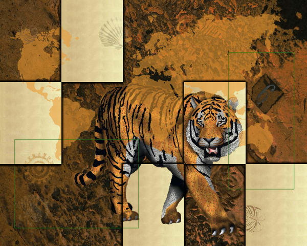 Marco Veronese, TIGER