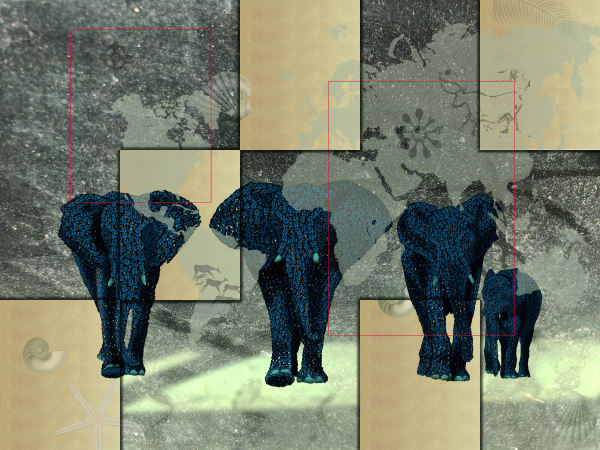 Marco Veronese, ELEPHANTS