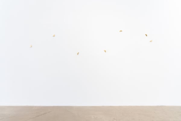 Vartan Avakian, Hmayk, 2025