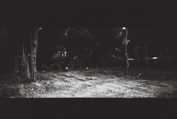 Paola Yacoub, A3, 1995