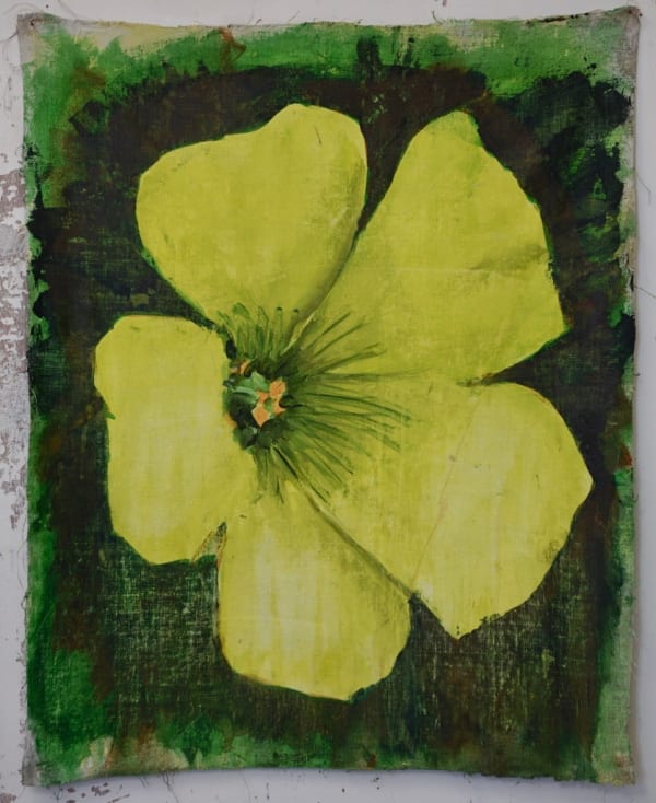 Omar Fakhoury, Baby Lemon, 2024