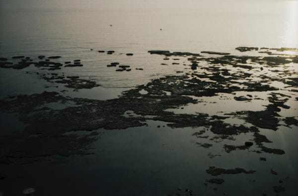 Mohamad Abdouni, Godless, 2019