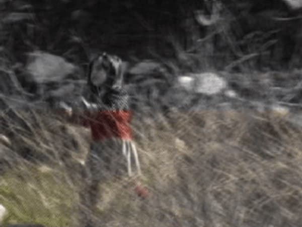 Rania Stephan, Invisible Images To The Naked Eye 09, 2016