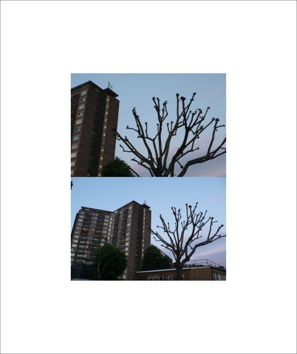 Rania Stephan, 64 Dusks #11, 2016