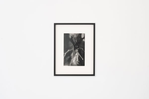 Paola Yacoub, III from Overlappings , 1994