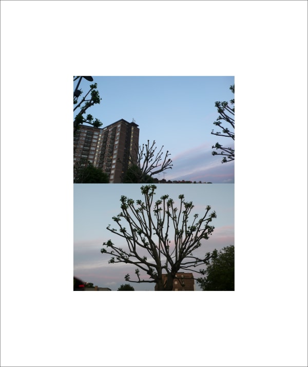 Rania Stephan, 64 Dusks #12, 2016