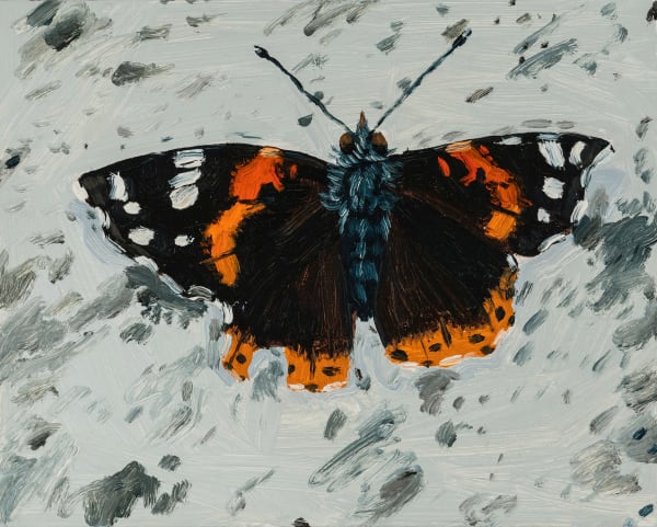 Claudia Keep September 7th, 10:06 AM, Red Admiral on the Sidewalk, 2023 Oil on masonite panel 20.3 x 25.4 cm (8 x 10 in) 22.3 x 27.4 cm (8.8 x 10.8 in) framed