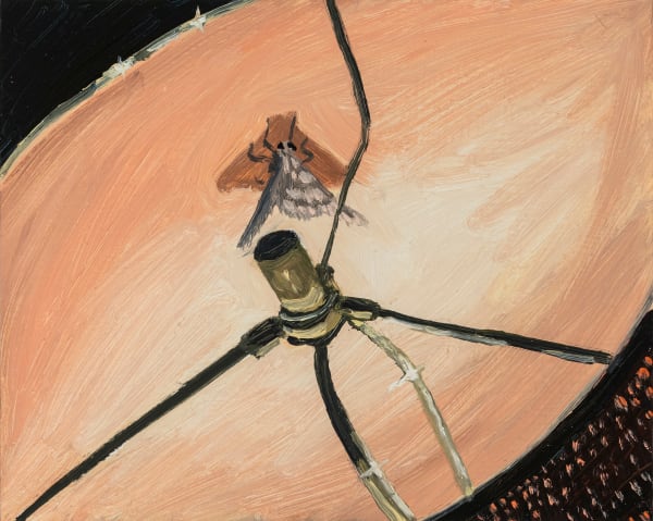 Claudia Keep August 23rd, 11:31 PM, Dependable Rather Than Predictable, 2024 Oil on masonite panel 20.3 x 25.4 cm (8 x 10 in) 22.3 x 27.4 cm (8 ¾ x 10 ¹³⁄₁₆ in) framed