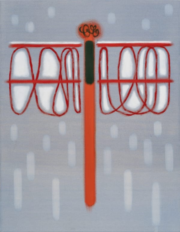 Snow Skimmer