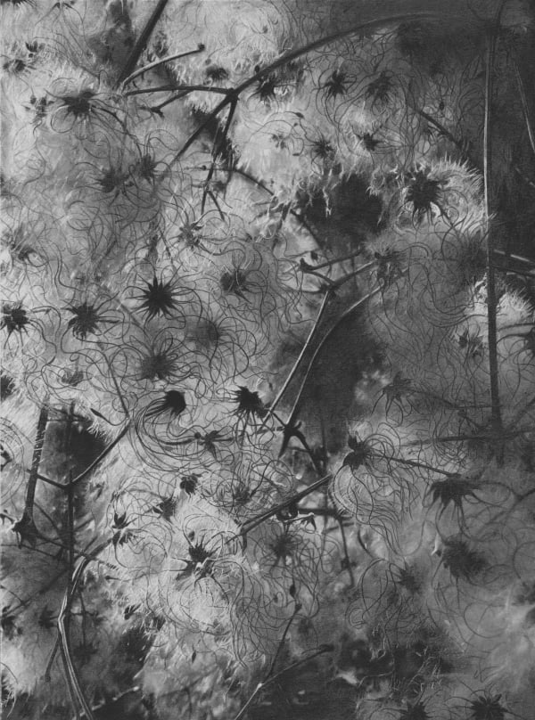 ZHANG Yunyao Spirit, water drop and the light (1), 2021 Graphite pencil on paper mounted on aluminum plate 27.5 x 20.5 cm