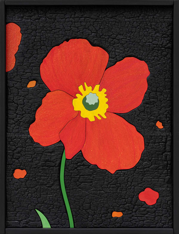 Laurent Pernot Fire Poppy, 2024 Burnt wood and painting 42 x 32 x 4.5 cm (16 ½ x 12 ⅝ x 1 ⅜ in) framed Weight: 2.5 kg