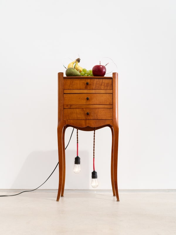 Yuko Mohri Decomposition, 2025 Side table, L.E.D lights illuminated by fruits 70 x 33.2 x 24.5 cm (27 ½ × 13 ⅛ × 9 ⅝ in)