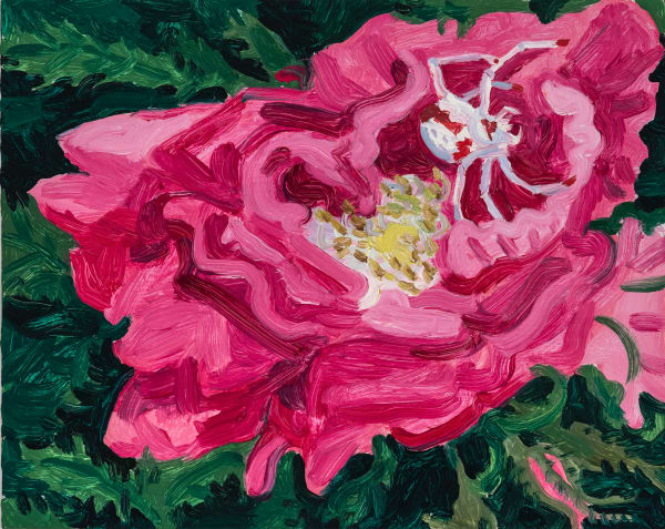 Claudia Keep Rose With Crab Spider, 2024 Oil on Masonite panel 20.3 x 25.4 cm (8 x 10 in) 22.3 x 27.4 cm (8 ¹³⁄₁₆ x 10 ¹³⁄₁₆ in)