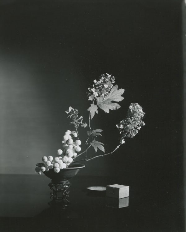 Horst P. Horst Still life, 1957 New York Gelatin silver print 25 x 20 cm