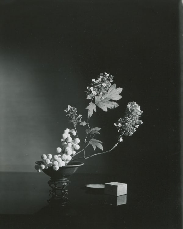 Horst P. Horst at Saint Laurent Rive Droite | 玛戈画廊