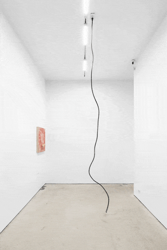 The Harp That Plays Itself