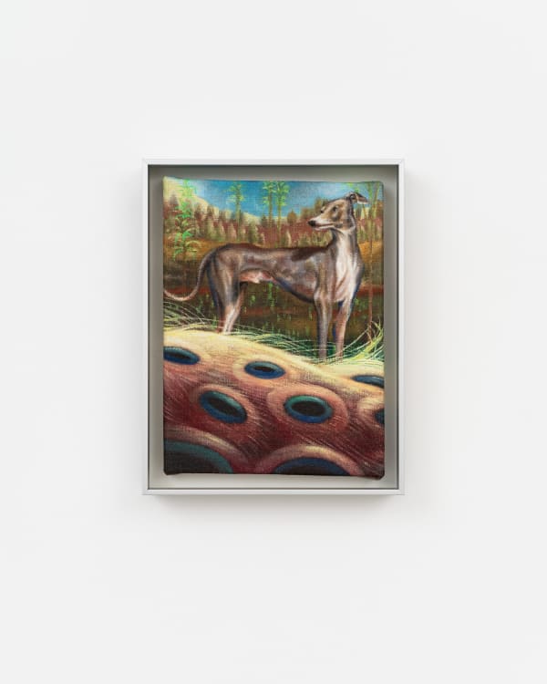 Ángela Ferrari Las palabras que no sé extrañar, 2025 Oil on linen 20 x 15 cm (7 ⅞ x 5 ⅞ in) 23 x 17.8 cm (9 x 7 in) framed