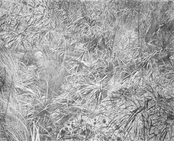 Sofia Nifora Intertwined, 2023 Work on paper 120 x 150 cm (47 1/4 x 59 in)