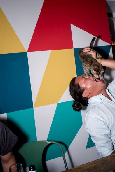 White Night in Paris