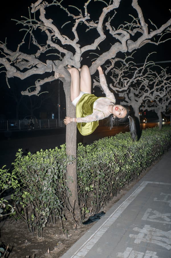 Feng Li - Tree, 2019
