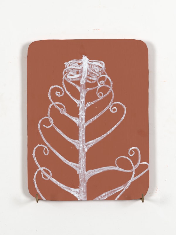 Fern