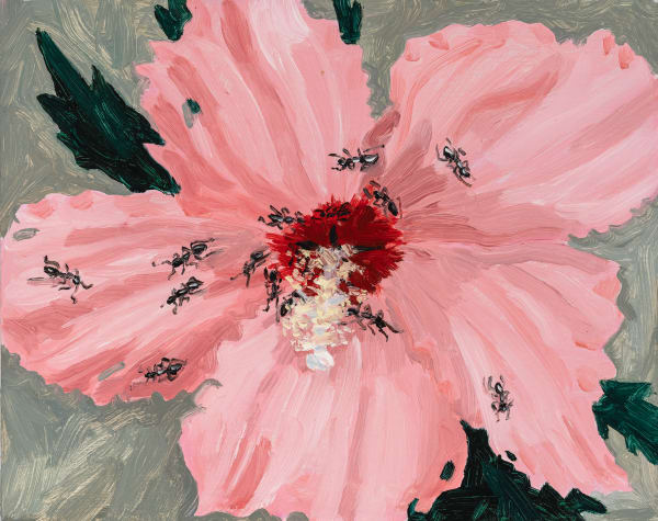 Claudia Keep Brooklyn Hibiscus, 2024 Oil on Masonite panel 20.3 x 25.4 cm (8 x 10 in) 22.3 x 27.4 cm (8 ¹³⁄₁₆ x 10 ¹³⁄₁₆ in)