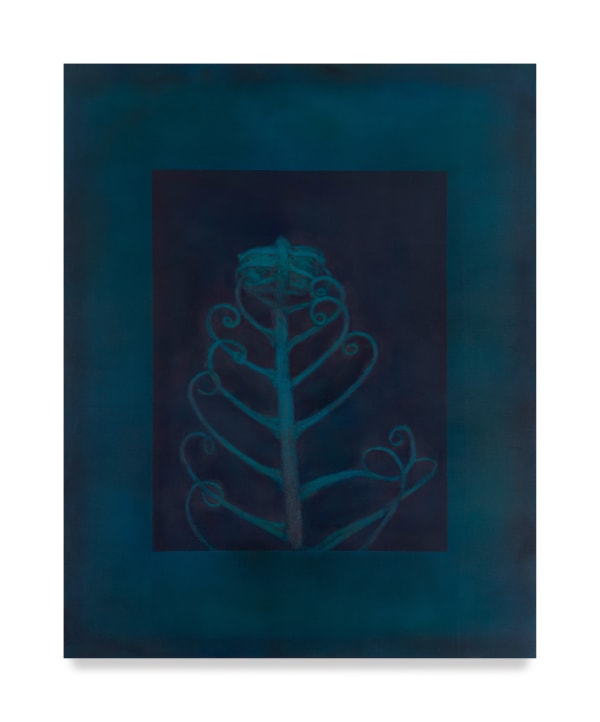 Fern