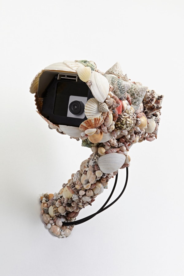 Pio Abad - Decoy, 2015