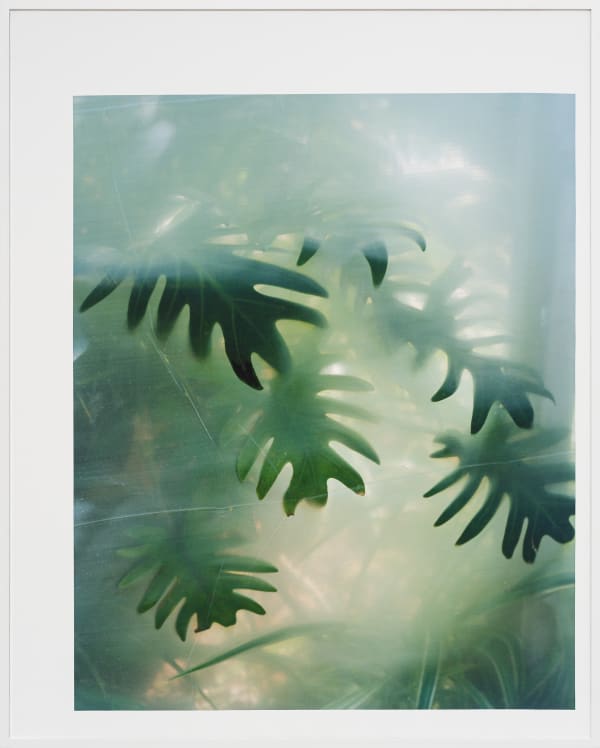 Thomas Block Humery Hot House in Mobile, 2023 Inkjet on canvas with artist frame 125 x 100 cm (49 1/4 x 39 3/8 in) 127.4 x 102.4 x 3.3 cm (framed) Unique