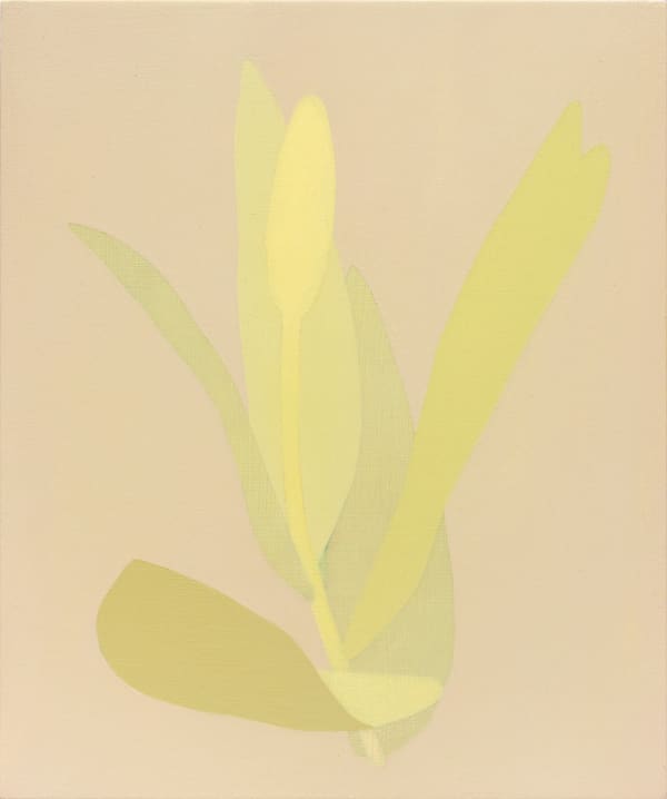 Manuel Stehli Untitled (Tulip 3), 2023 Oil on wood panel 30 x 25 cm (11 3/4 x 9 7/8 in)