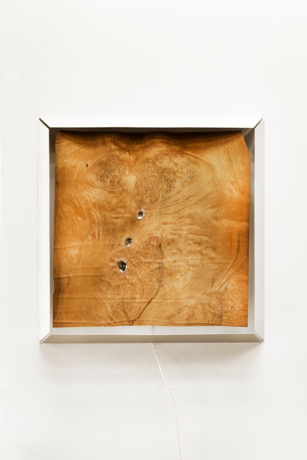 Myrtle Silver Sconce (Tasmania)