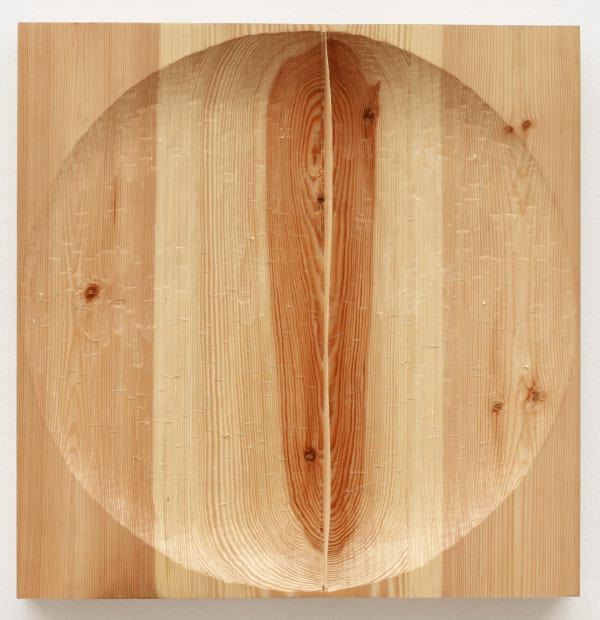 Untitled. Divided Circle