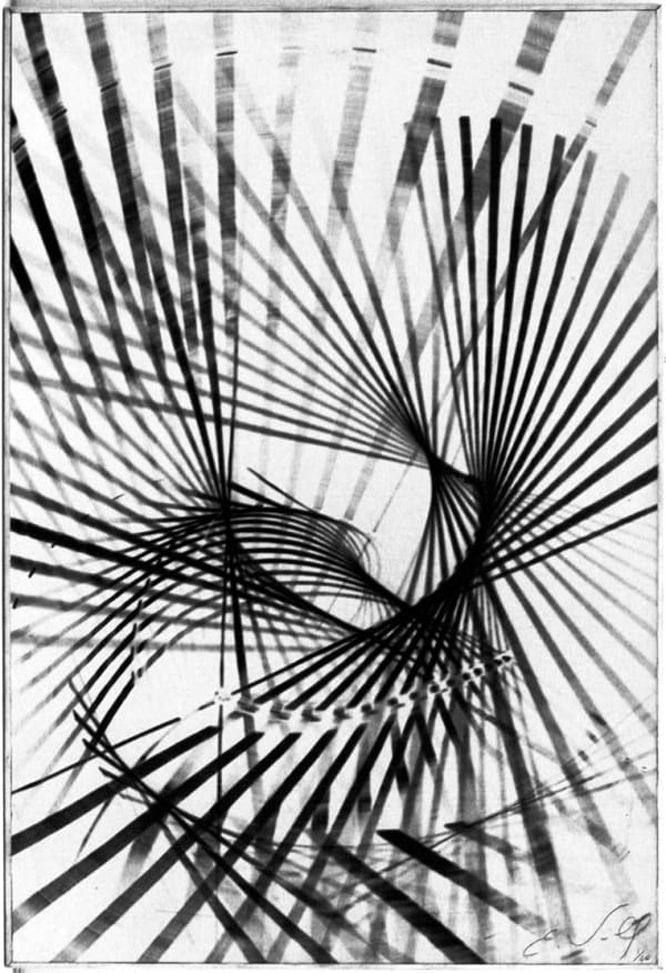 Figure Quasi Mathématique