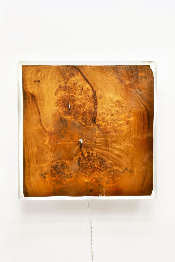 Myrtle Sconce (Tasmania)