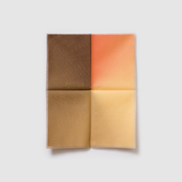 Letter Seven (Their golden, chestnutbrown hair dampened by the rain, glittered in the sunset)