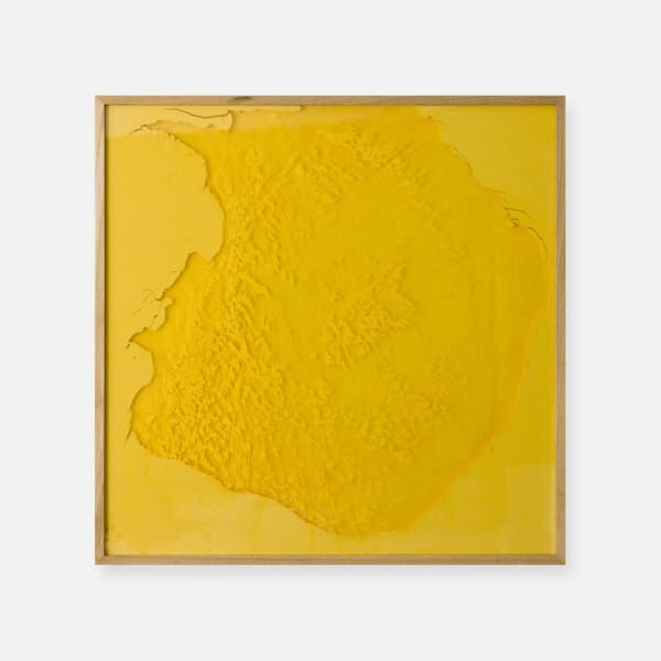 Manuel Mérida, Monochrome Jaune N2, 2000