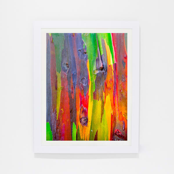 Damián Hernández, Gráfica Corteza Arcoiris VII, 2013