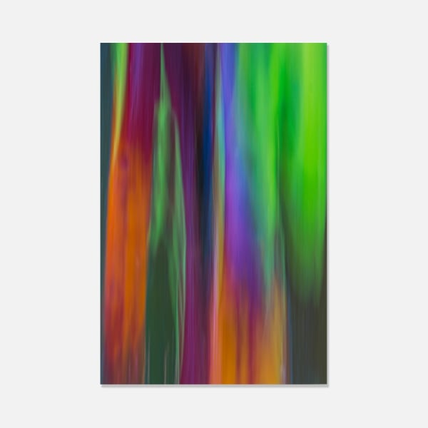 Damián Hernández, Corteza en movimiento Fillage I, 2015