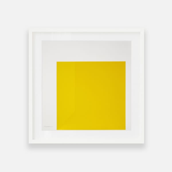 Victor Lucena, Space Shock "extension color" 2, 2009