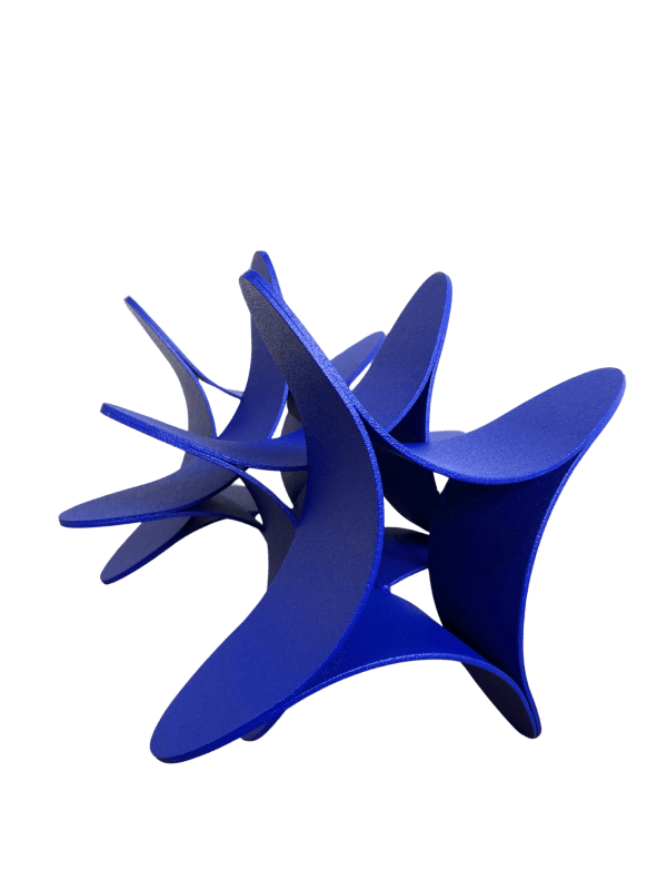 Verónica Matiz, Helecho Azul, 2024