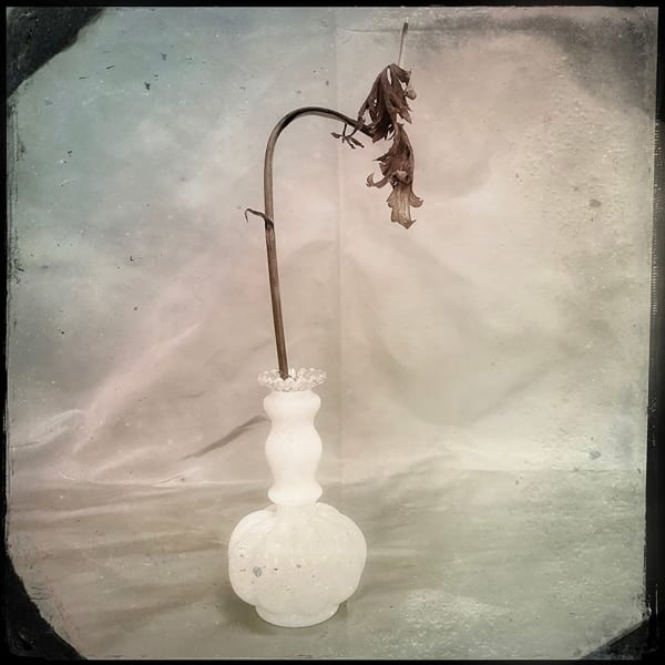 Deborah Dancy Without 2, 2022 digital photo on archival paper 17 x 17.5 in. Ed. 3 (Edition record)