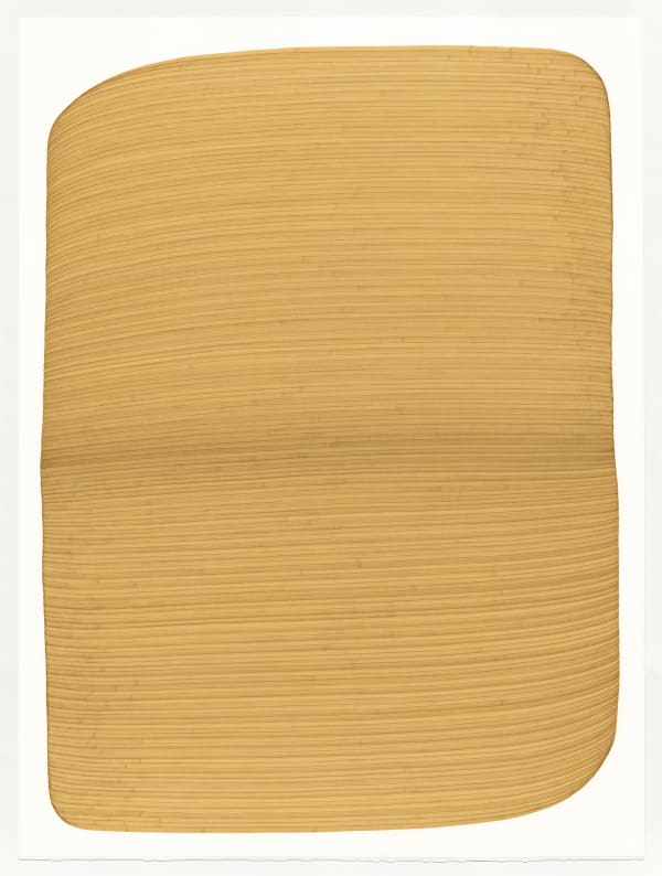 Dana Piazza, Lines 318, 2025