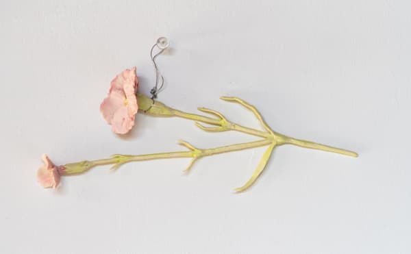 Monica Banks, Jack Flower, 2025