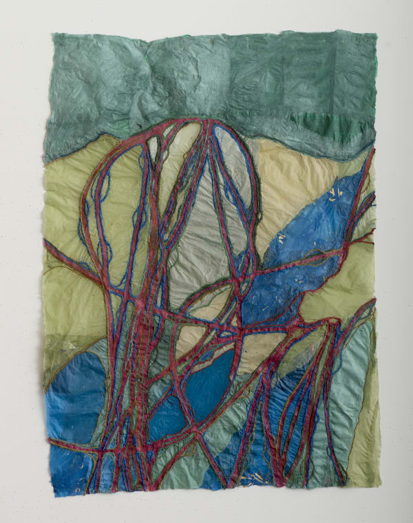 Nancy Cohen, Venous Aqueduct, 2021