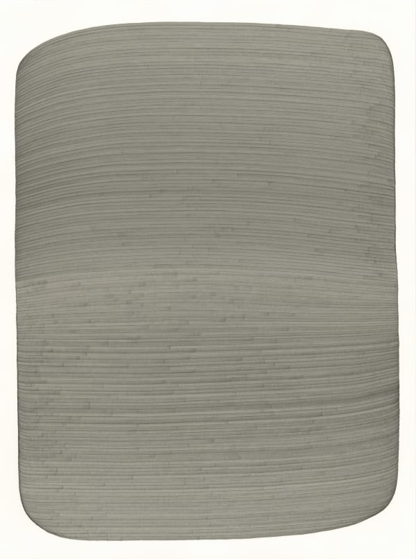 Dana Piazza, Lines 316, 2025