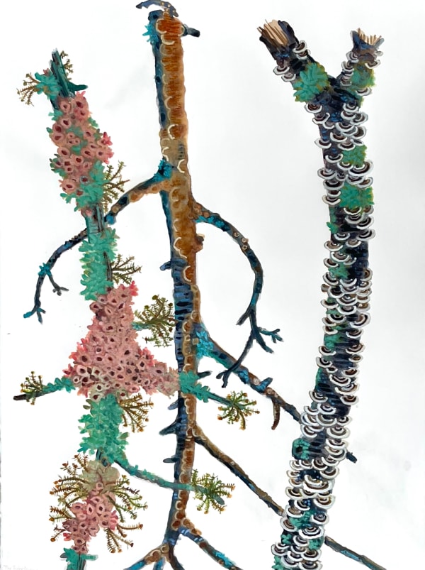 Katie DeGroot, The Interloper, 2025