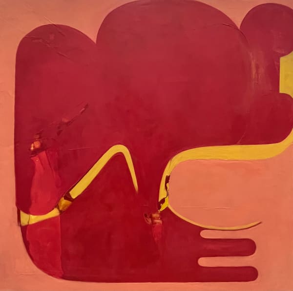 Fran Shalom Doubletake, 2025 Oil on canvas 24 x 24 in.