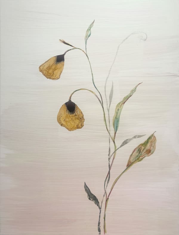 Marilla Palmer, Evanescent Poppies, 2025