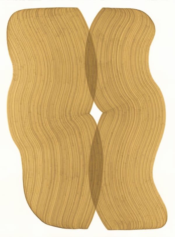 Dana Piazza, Lines 312, 2025