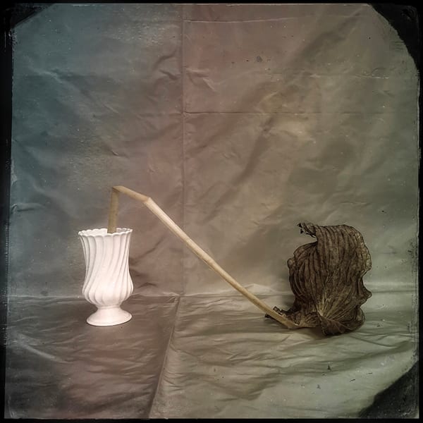 Deborah Dancy Without 1, 2022 digital photo on archival paper 17 x 17.5 in. Ed. 3 (Edition record)